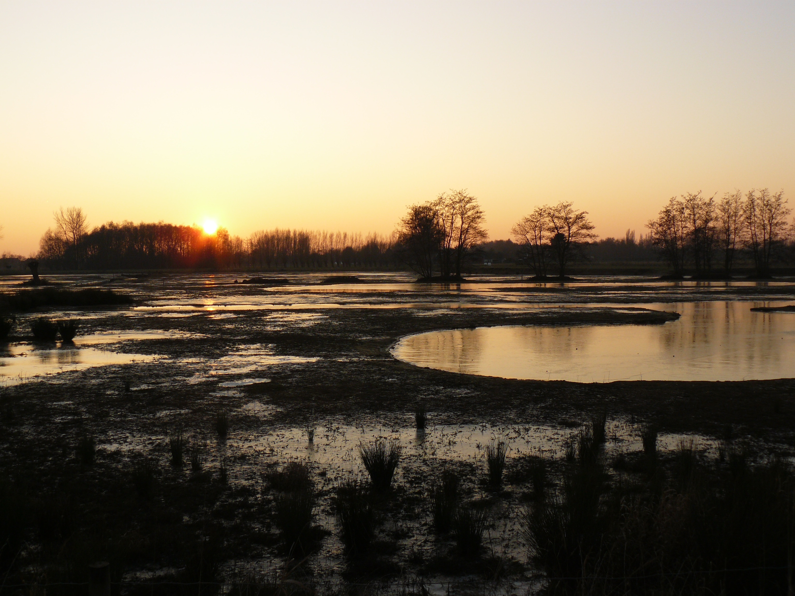 Natuurgebied 'Westerplas', parel van Hoog Latem
