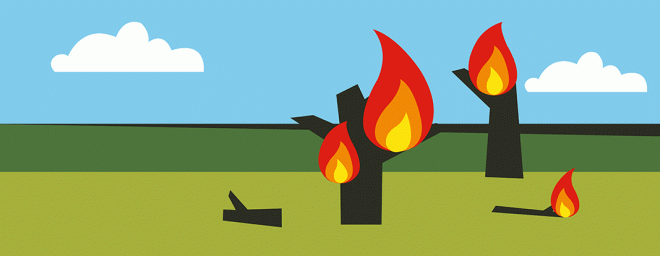 spijtig van de bomen