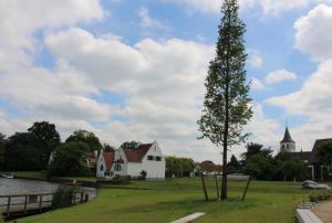 Zicht op heraangelegde boomgaard