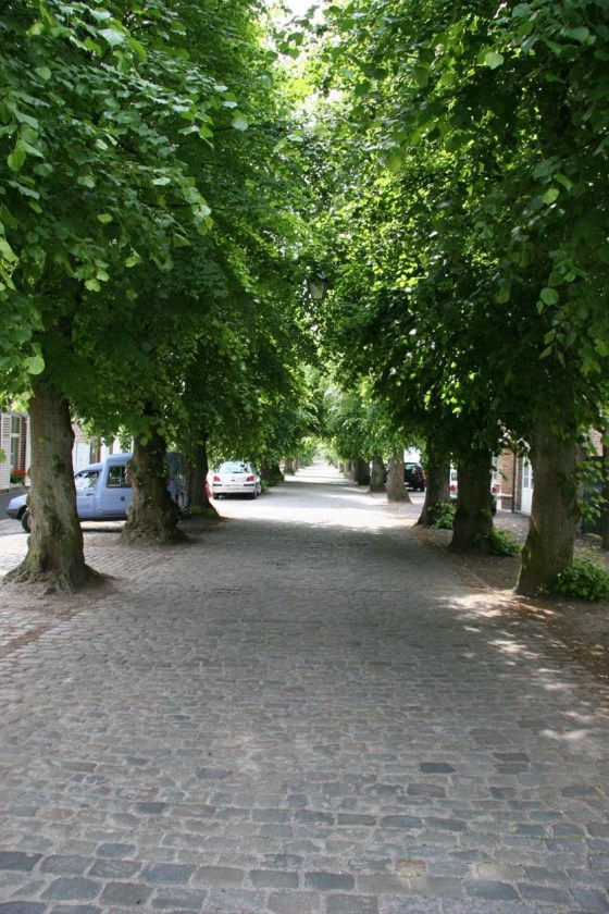 ooidonkdreef-voor-kap