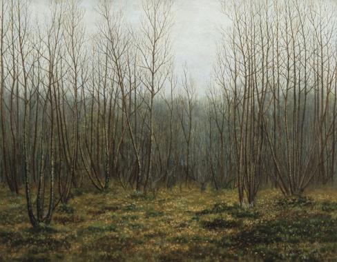 binus-boslandschap-1913-doek-51-op-65-est-7-a-10000