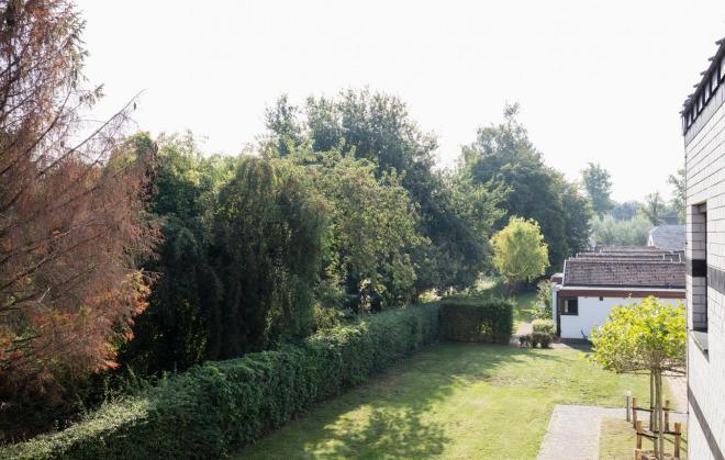 MDC_TVB_MP2019_StMLatem_008_HR